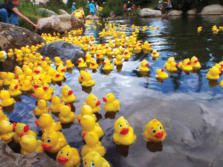 Rubber ducks racing during the Glen Cove Duck Derby